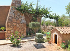 Pere Juan