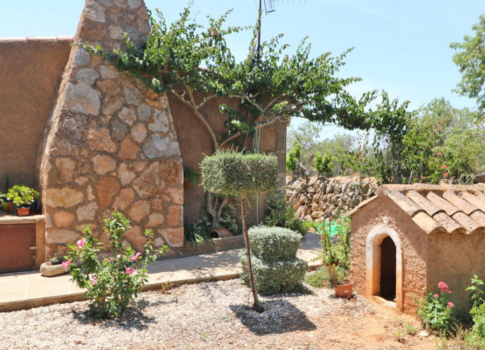Pere Juan