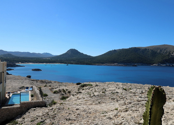 Vistaagulla