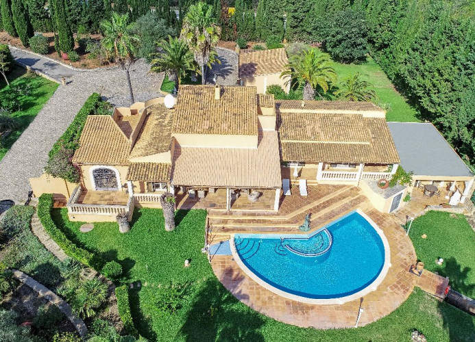 Pura Vida