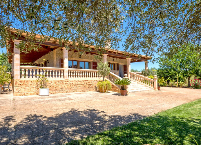 Jardin