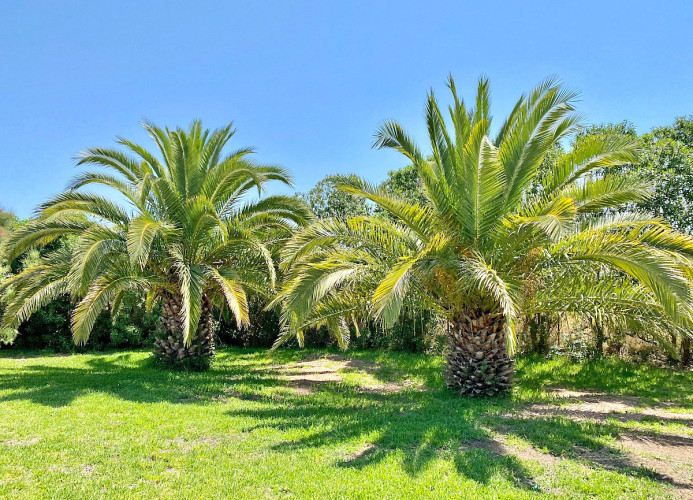 Borgata Roggio