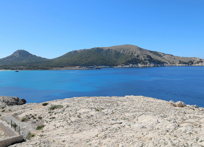 Vistaagulla