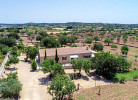 Sanrenzo
