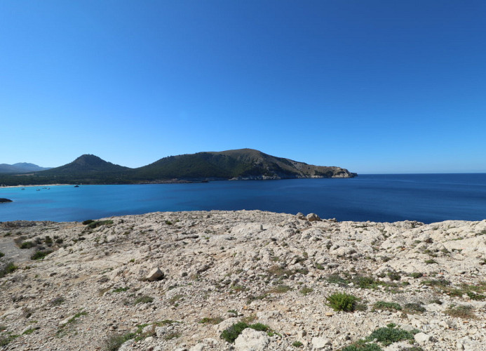 Vistaagulla
