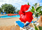 Grenada