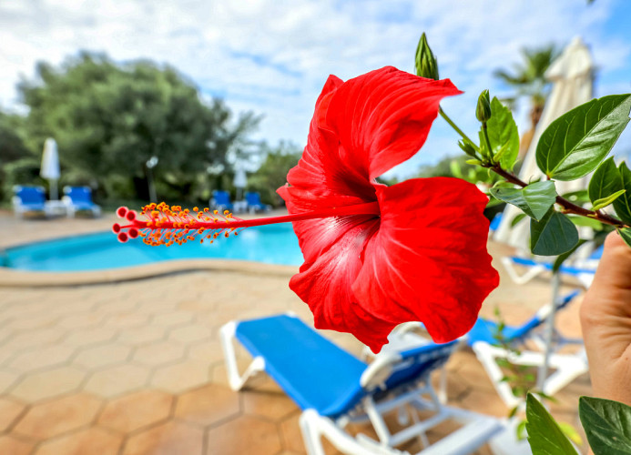 Grenada