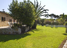 Allendras 