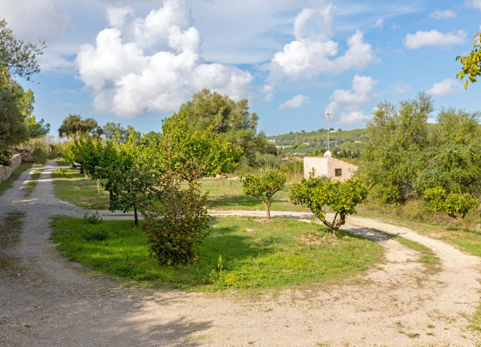 Songarrigo