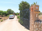 Pere Juan