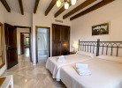 Palmeral