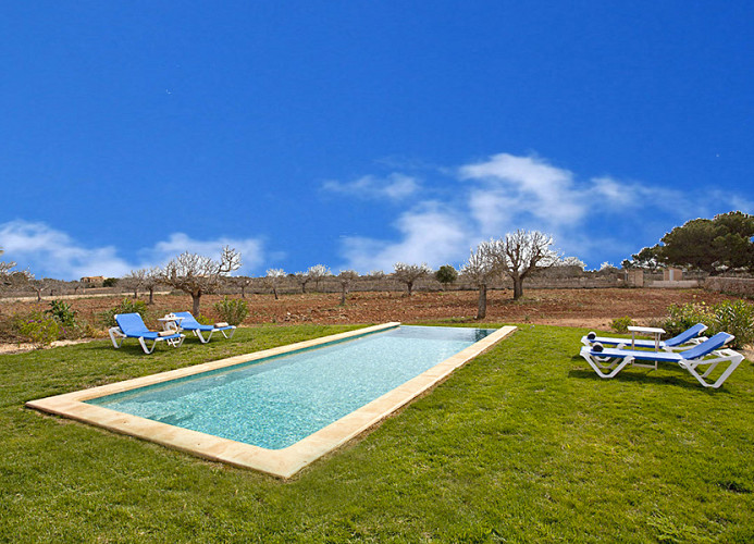 Pergola