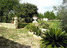 Iguera