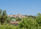 Alcazar
