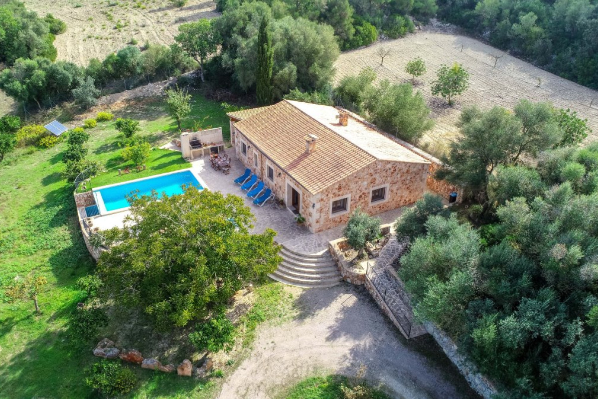 Songarrigo